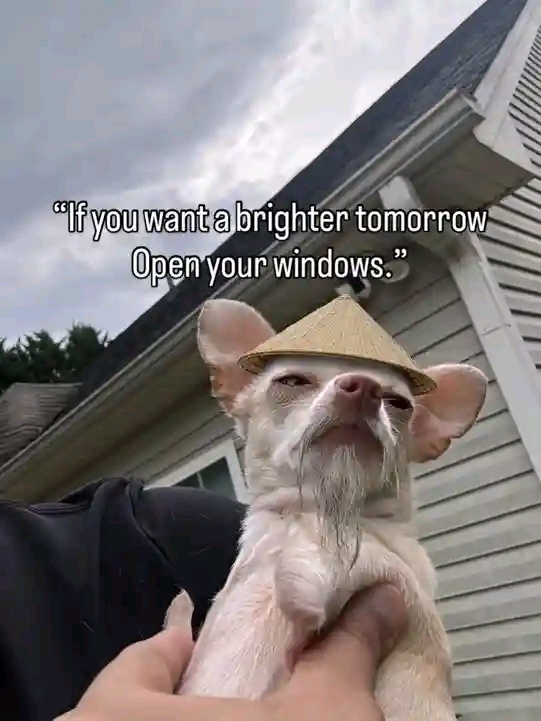 ...